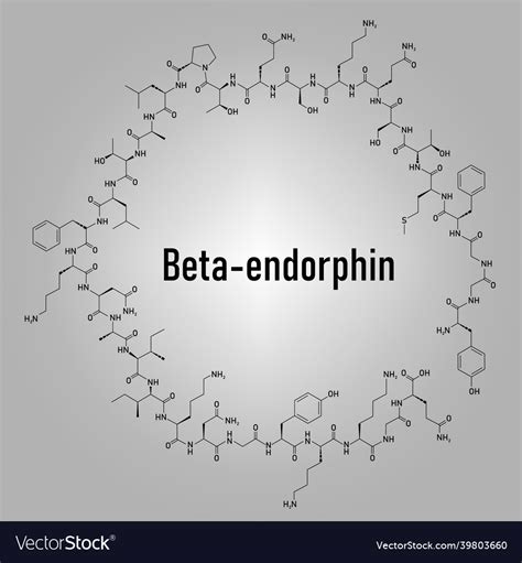 beta endorphin|Endorphins .